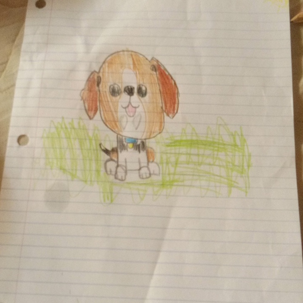 Dog sitting on grass